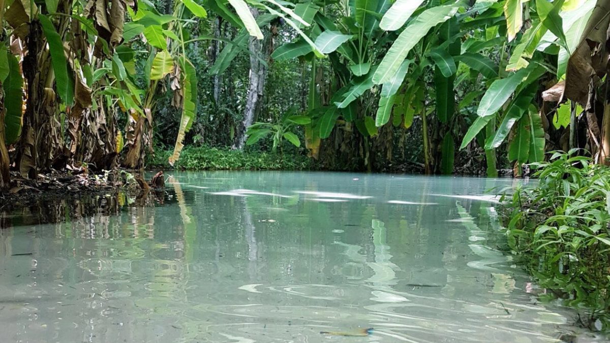 Fervedouro do Ceiça: o primeiro a ser descoberto no Jalapão